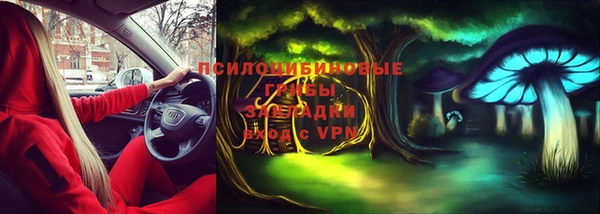 индика Покров