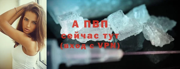 молекула духа Осинники