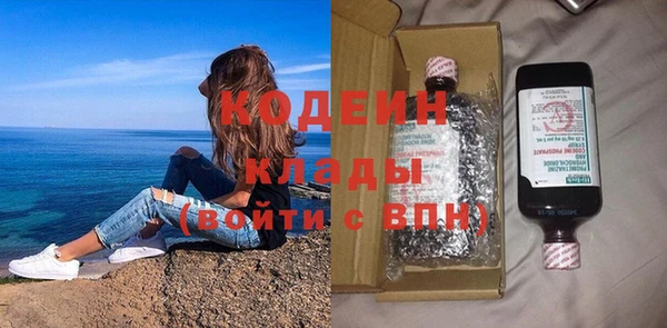 индика Нязепетровск