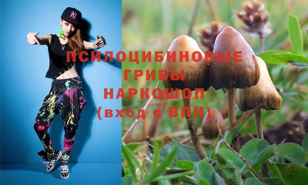 молекула духа Осинники