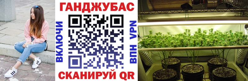 где купить   Козьмодемьянск  Канабис THC 21% 